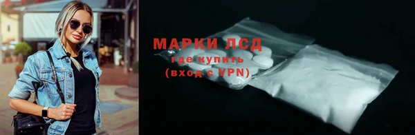 прущие грибы Аркадак