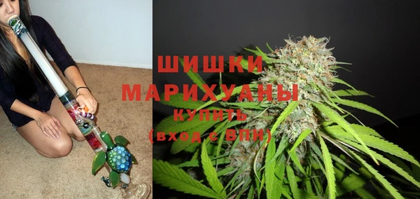прущие грибы Аркадак