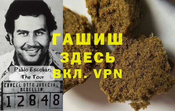 прущие грибы Аркадак