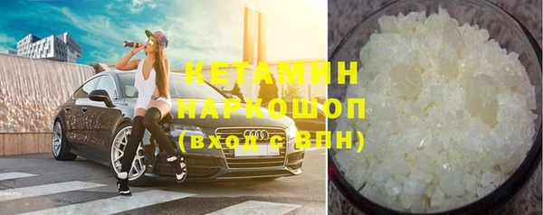 прущие грибы Аркадак